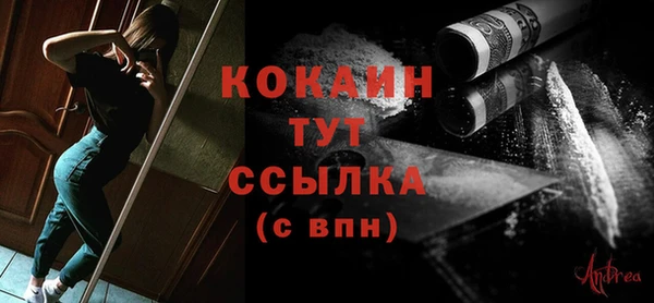 гашик Белокуриха