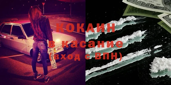 гашик Белокуриха