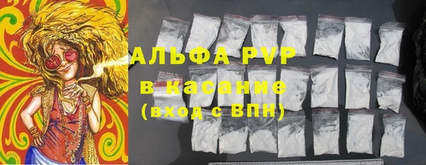 гашик Белокуриха