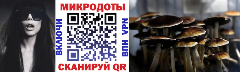 Купить закладки  Котельнич  Псилоцибиновые грибы мицелий 