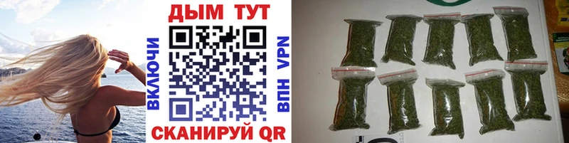 Канабис план  Купить  Котельнич 